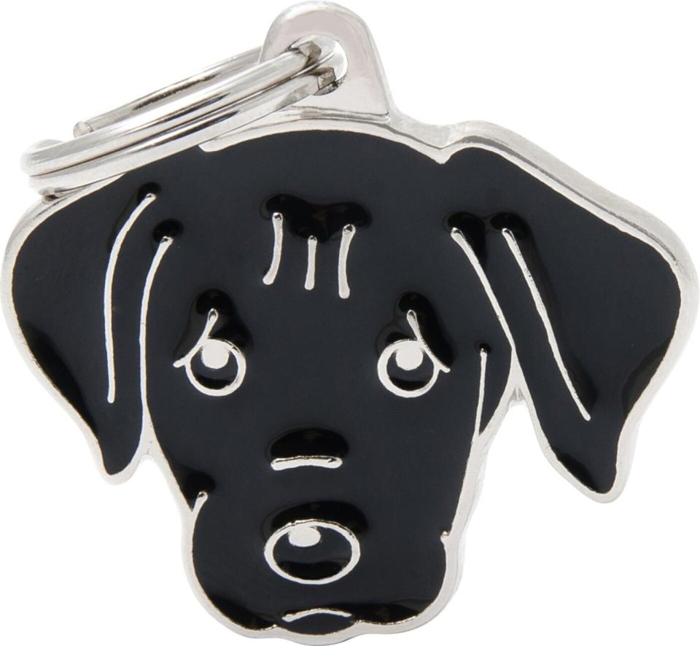 MyFamily - MyFamily Friends, Labrador retriever