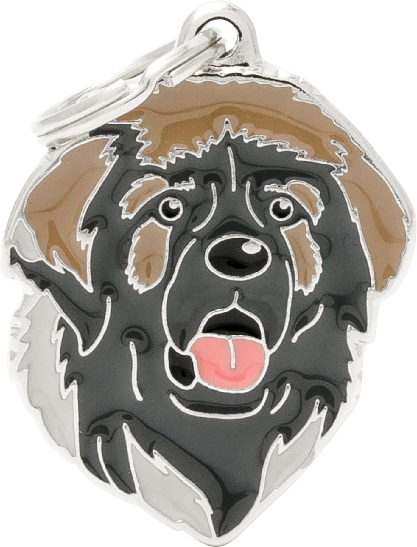 MyFamily - MyFamily Friends, Leonberger
