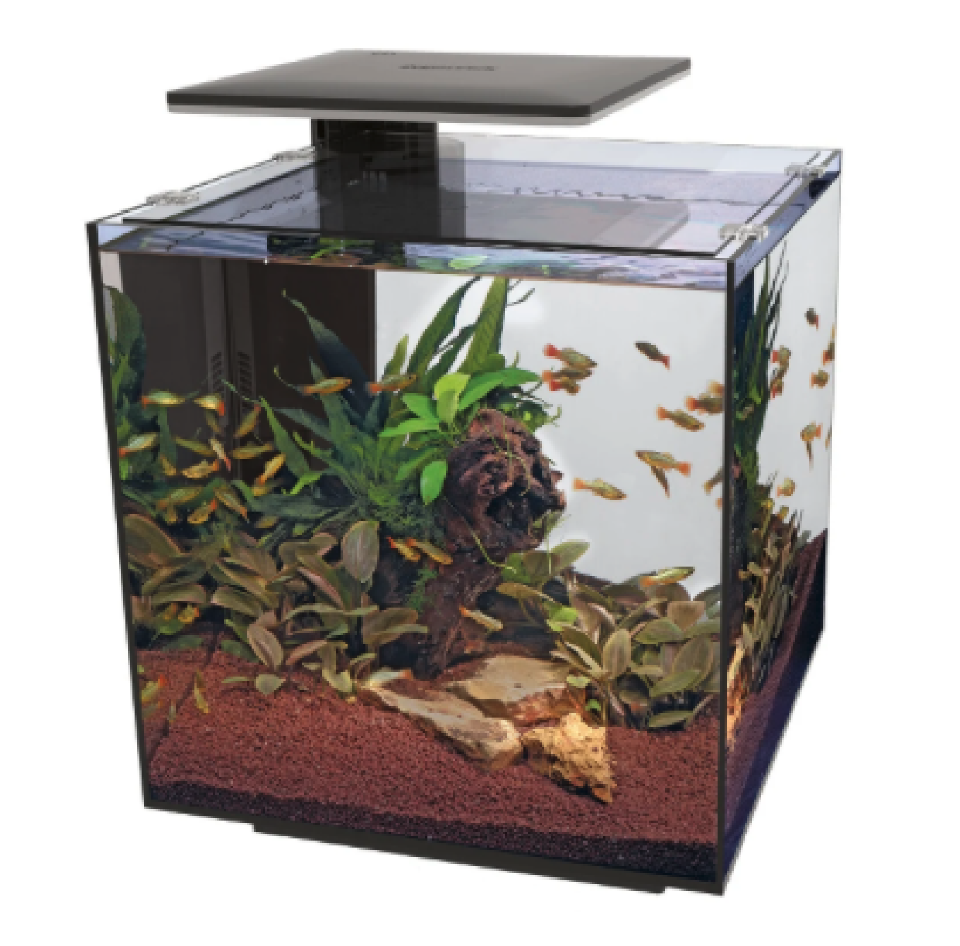 SuperFish - SUPERFISH QUBIQ 60 PRO BLACK