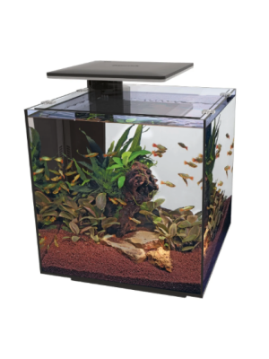 SuperFish - SUPERFISH QUBIQ 60 PRO BLACK
