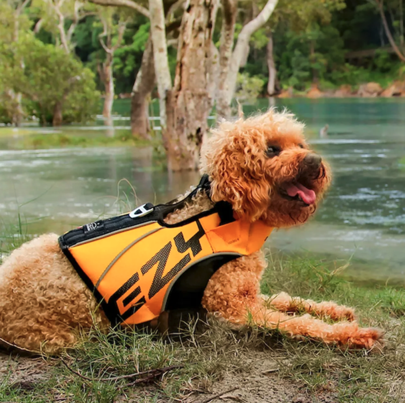 Ezydog - EzyDog Redningsvest X2 Boost