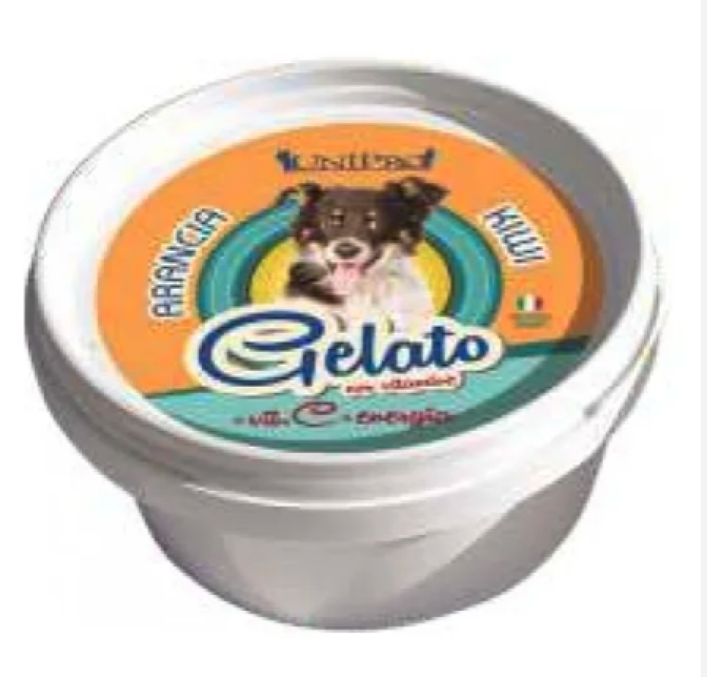 Gelato - Whesco Hunde Is m. Appelsin & Kiwi