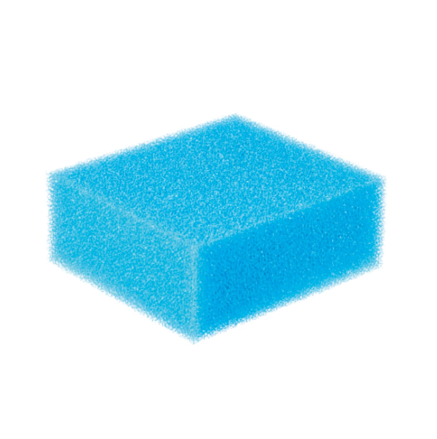 Oase - Replacement foam blue BioSmart