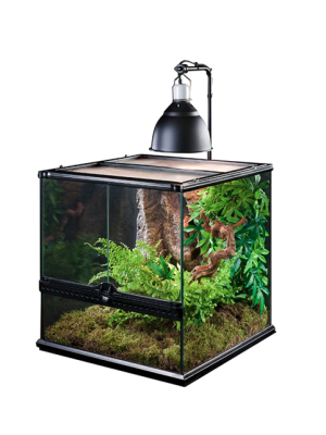 ExoTerra - ExoTerra Lampeholder