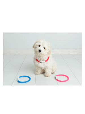 Ozami - Halsband Flash LED Blå 