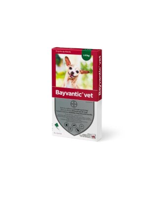 Bayvantic - Bayvantic vet Hund