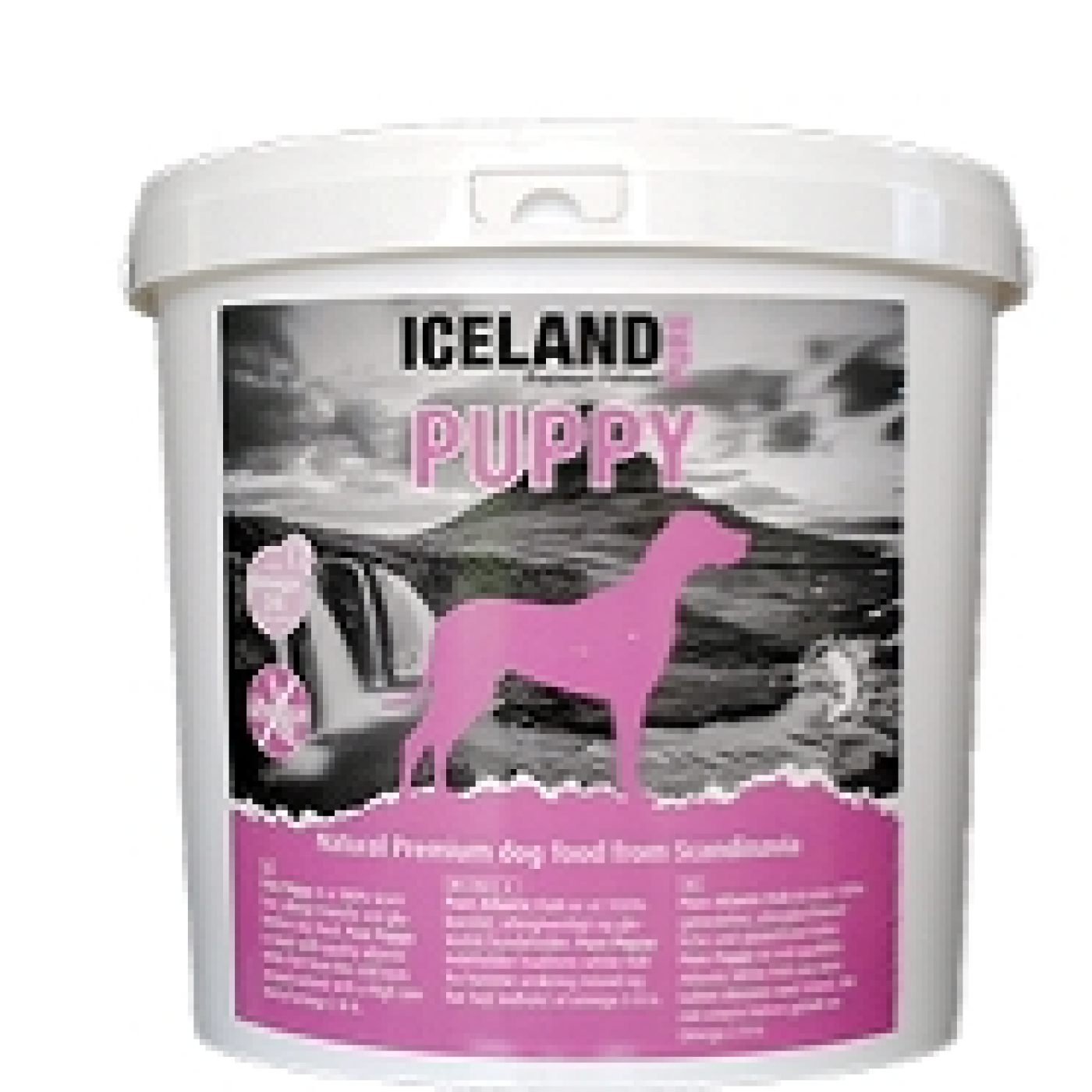ICELAND PET - ICELAND PURE PUPPY