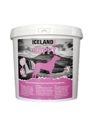ICELAND PET - ICELAND PURE PUPPY