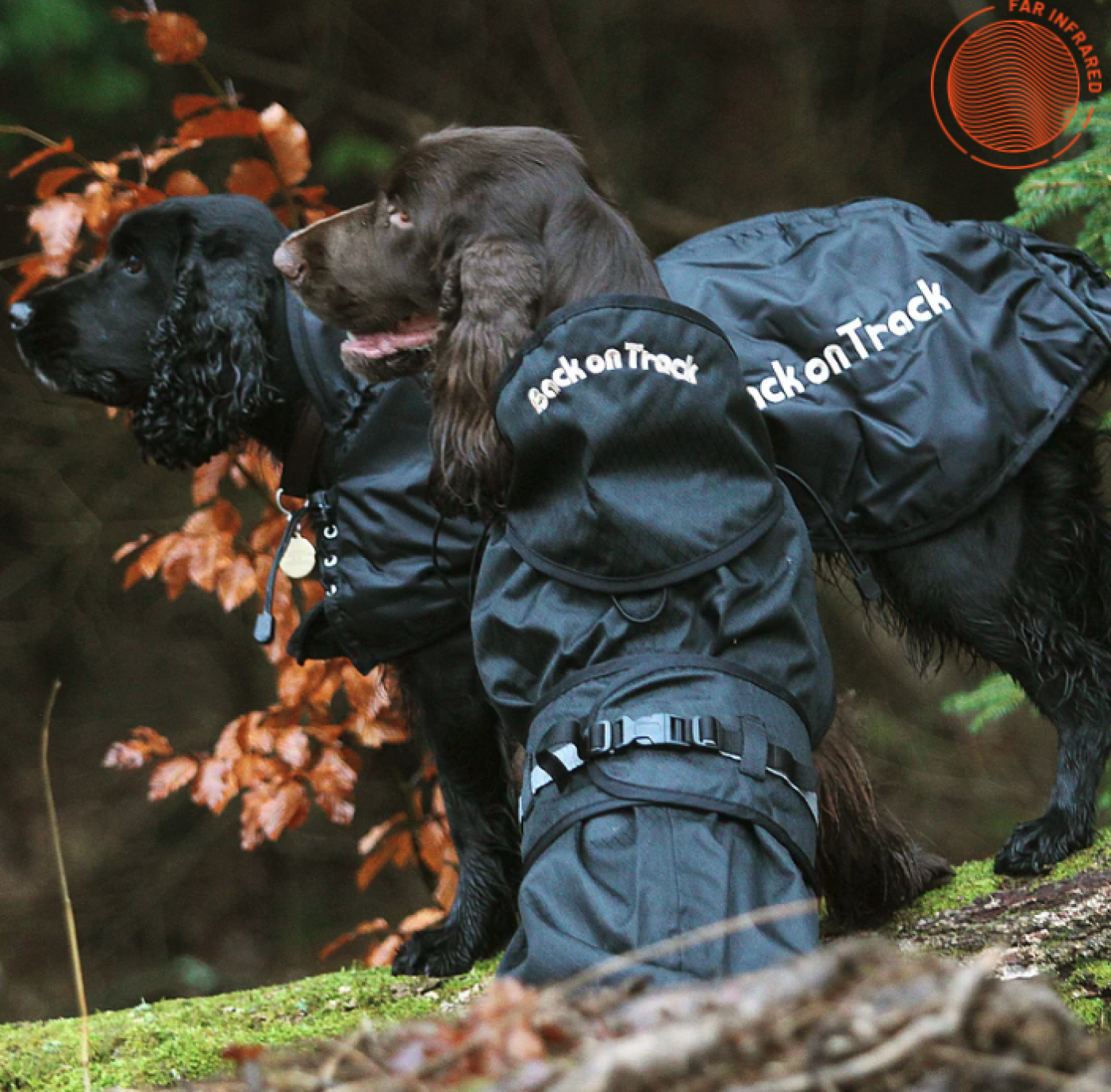 Back on Track - Back on Track Regndækken med foer 