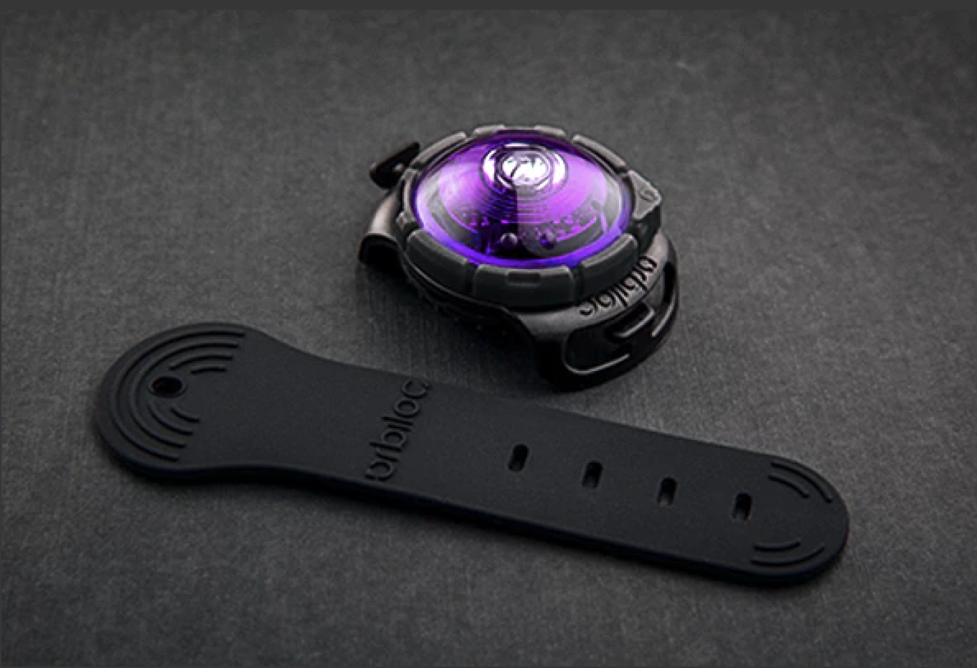 Orbiloc - Orbiloc Dog Dual Purple