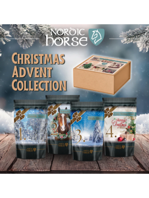 Nordic Horse - Christmas Advent Collection