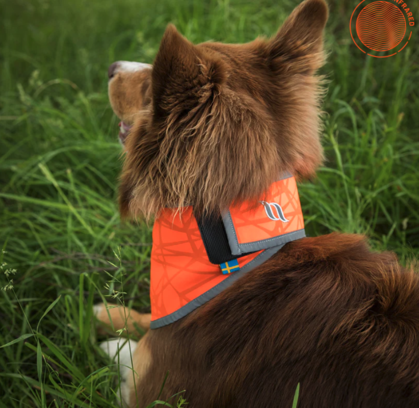 Back on Track - Draco Reflexbandana