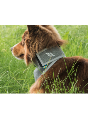 Back on Track - Draco Reflexbandana