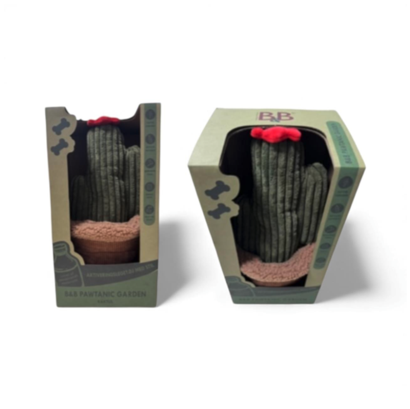 B&B - Pawtanic Garden kaktus