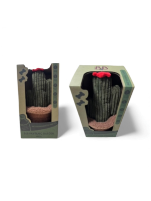 B&B - Pawtanic Garden kaktus