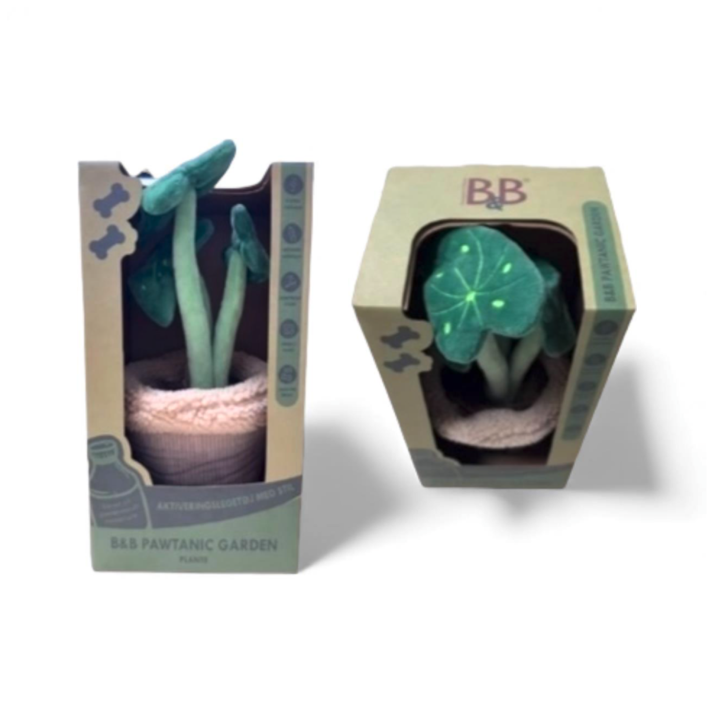 B&B - Pawtanic Garden Plante