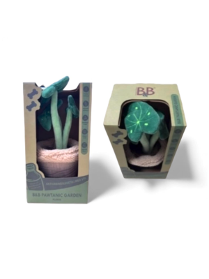 B&B - Pawtanic Garden Plante