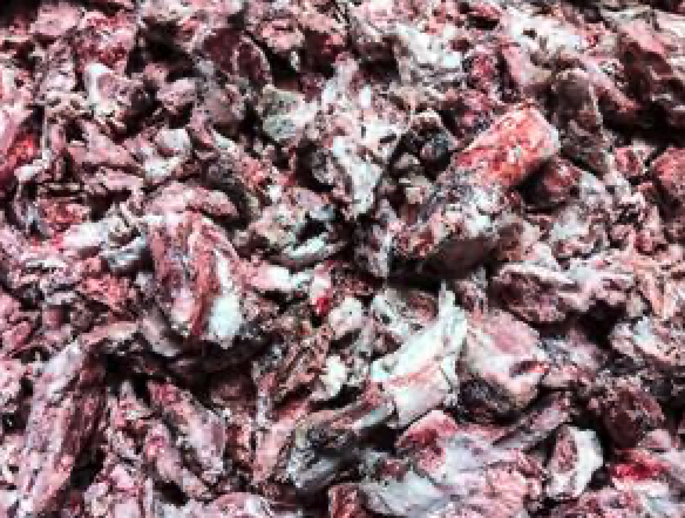 Kragborg - Kragborg BARF Lammekød med strube