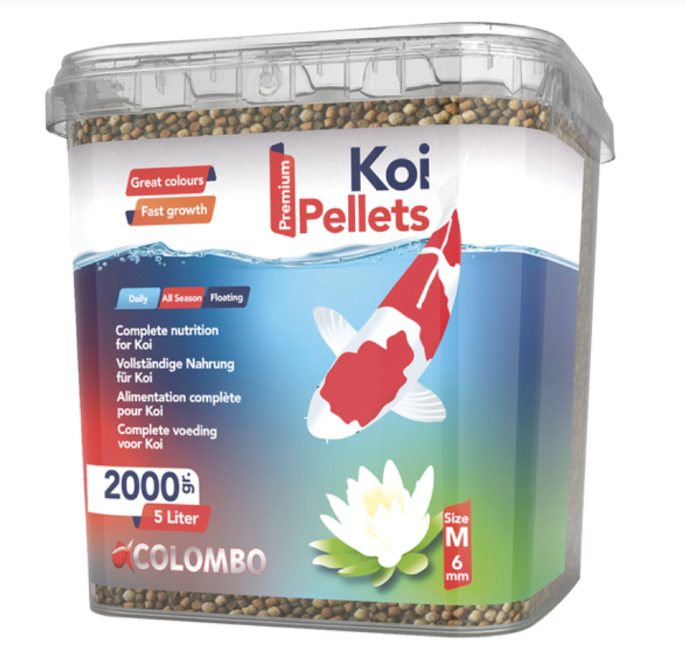 Colombo - Colombo Koi 