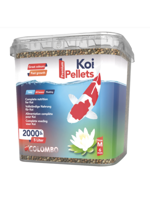 Colombo - Colombo Koi 