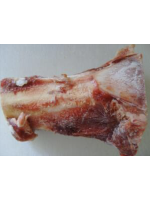 Kragborg - Frosne Marvben 