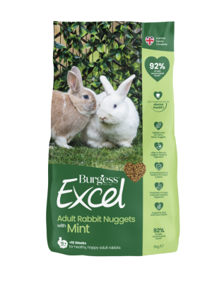 Burgess  - Burgess Kanin Adult Nuggets m/mint