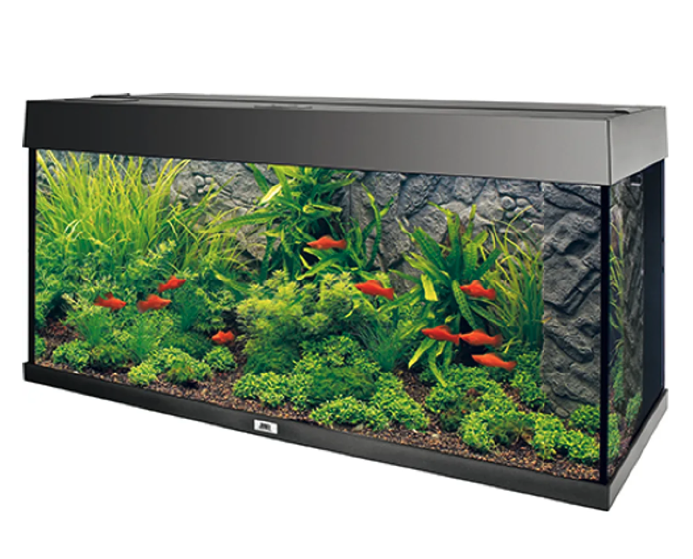 Juwel - Juwel Stone Granite