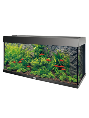 Juwel - Juwel Stone Granite