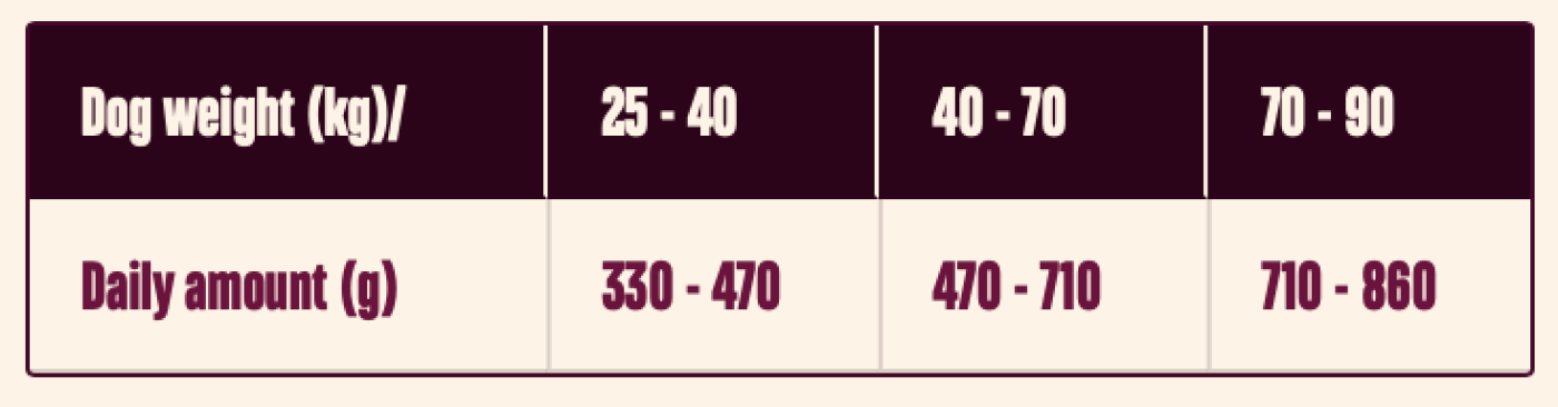 Carni Love - Carnilove Adult Large Breed Salmon & Turkey