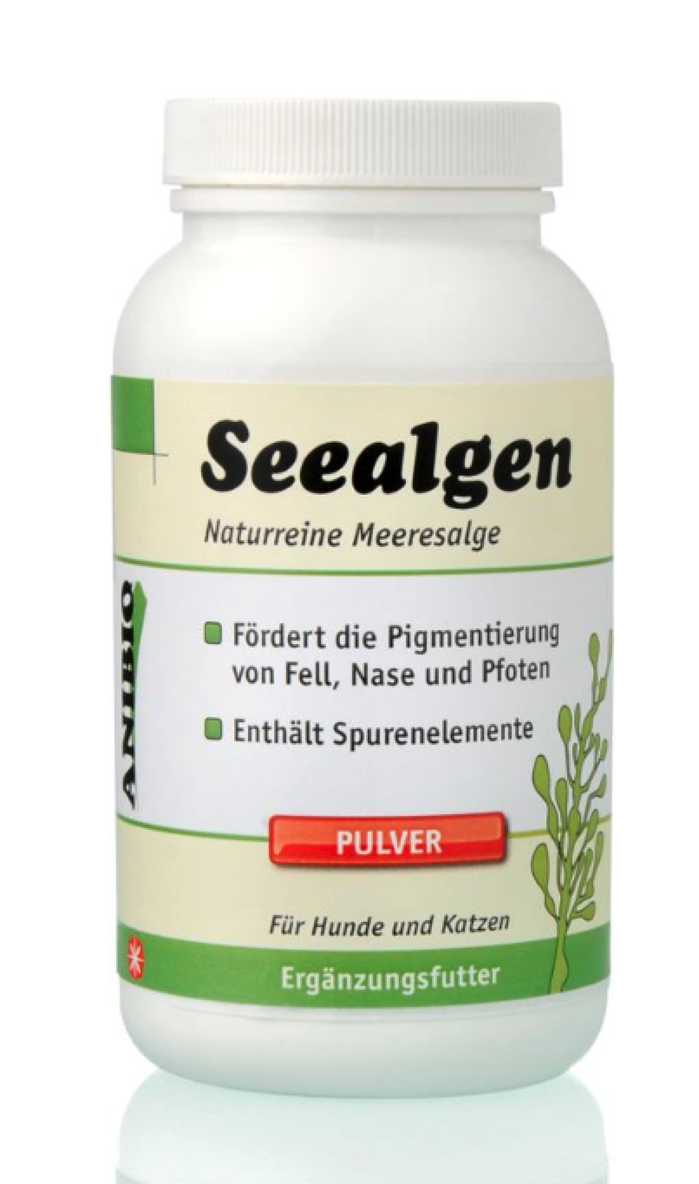 Anibio - Anibio Seealge (havalge)