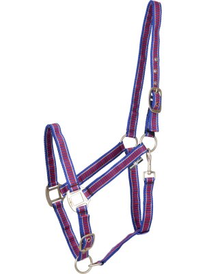 Horse Guard - HG Rio Grime 