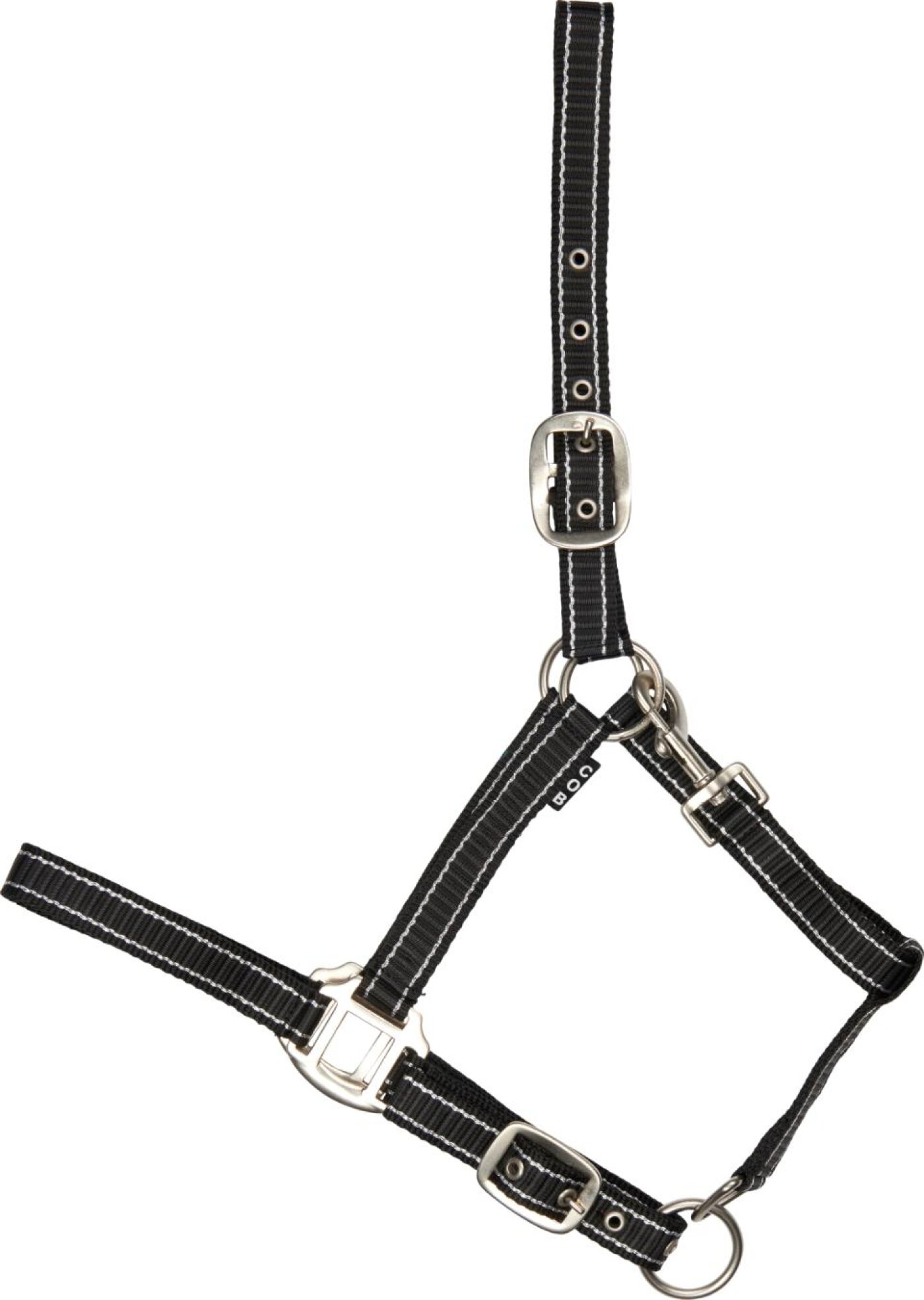 Horse Guard - HG Rio Grime 