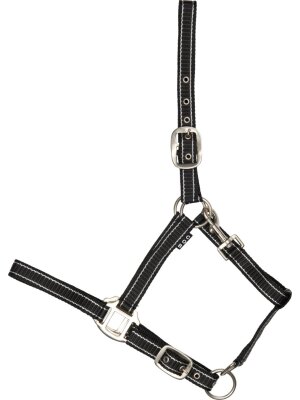 Horse Guard - HG Rio Grime 