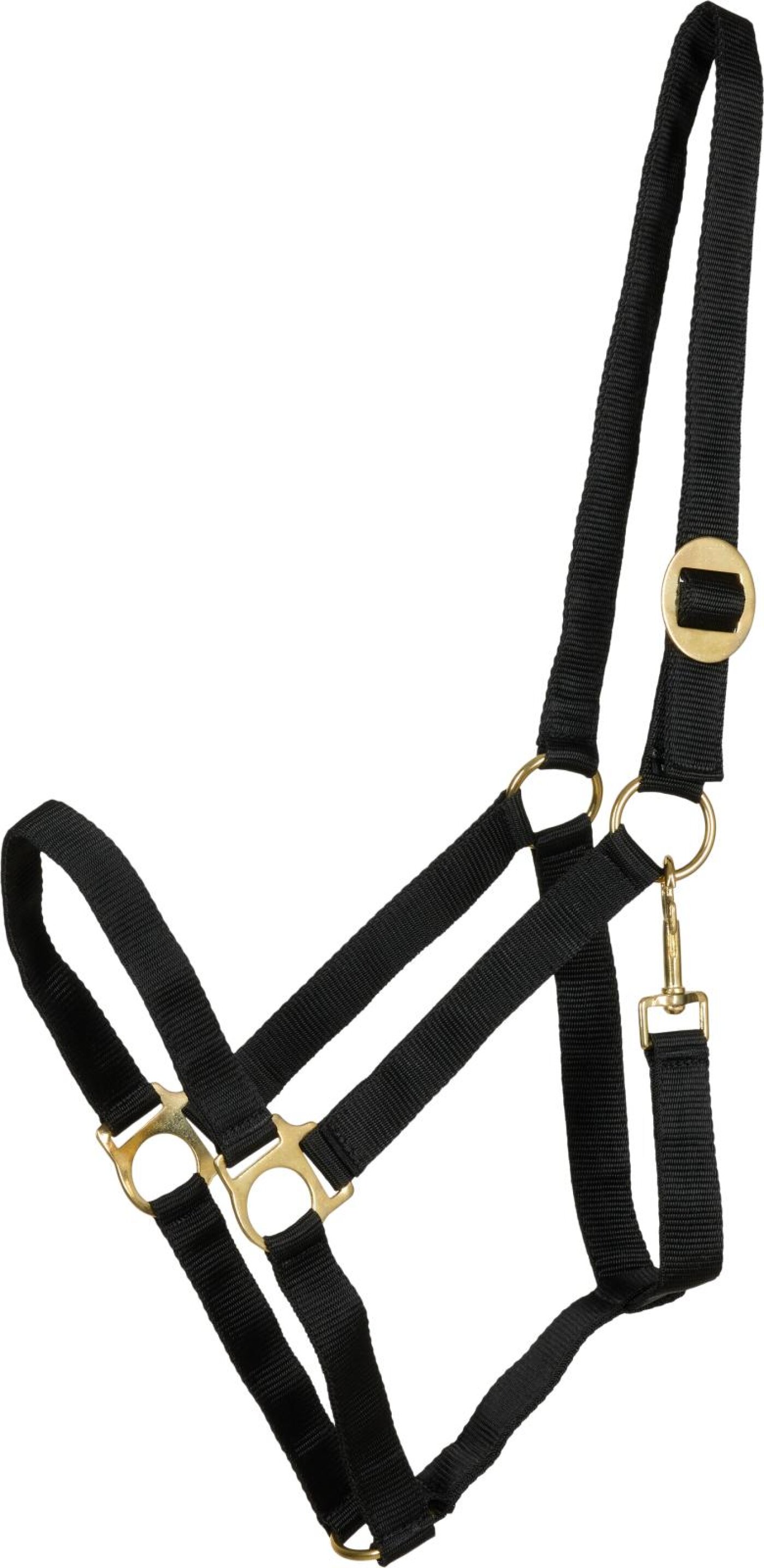 Horse Guard - HG Nylon Grime 