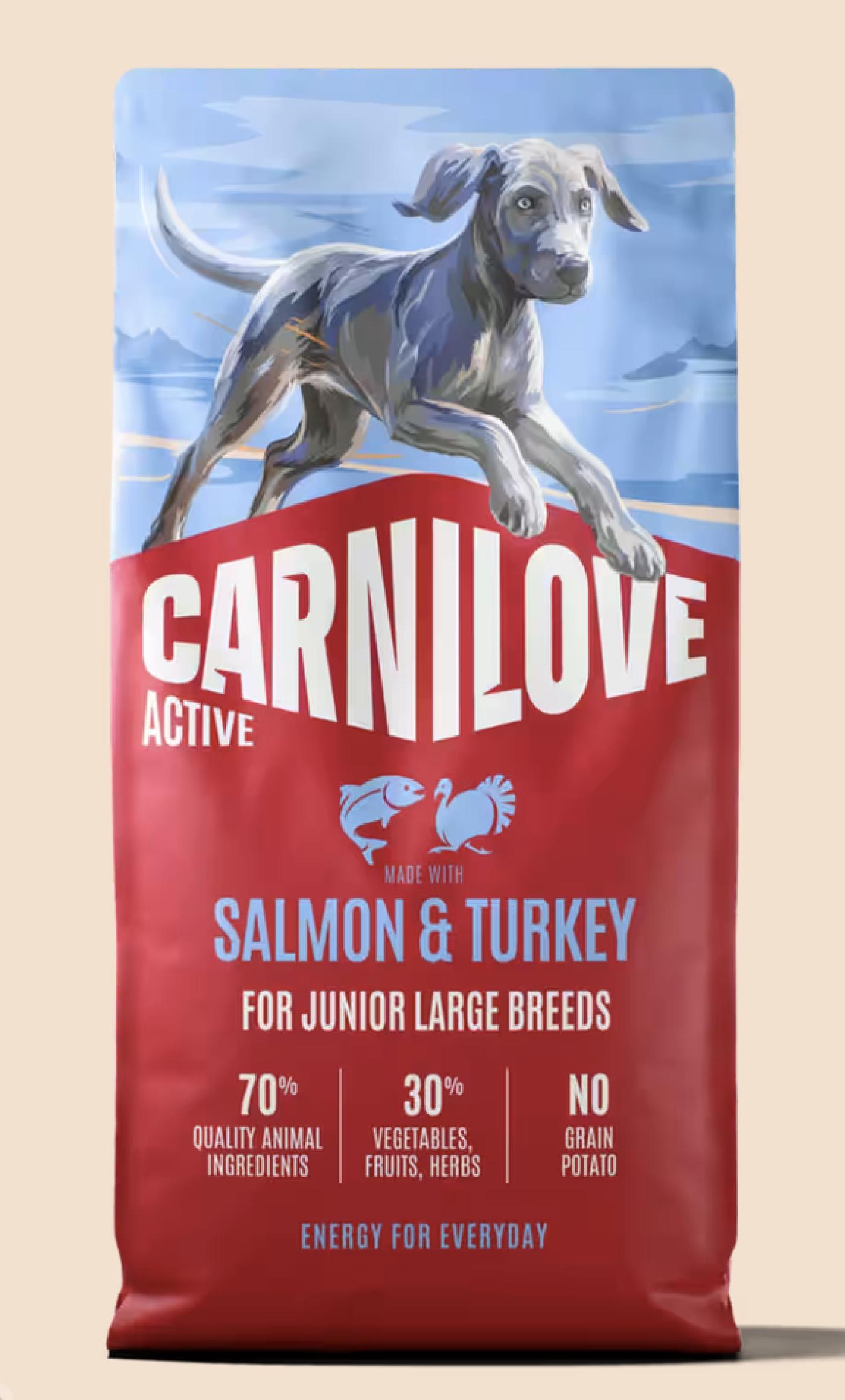 Carni Love - CarniLove Junior Large Breed Salmon & Turkey