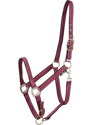 Horse Guard - Rio grime Koral miniShetland