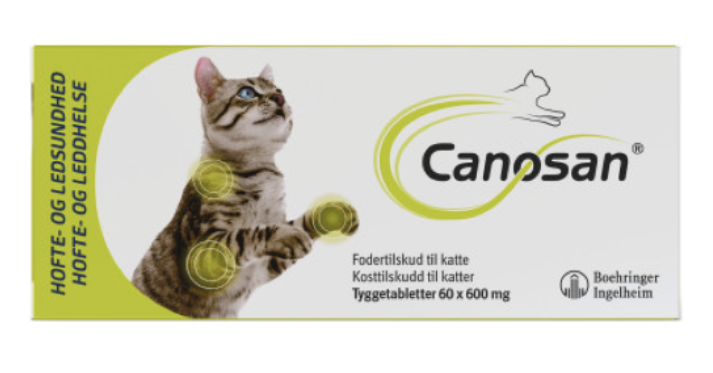 Canosan - Canosan Kat