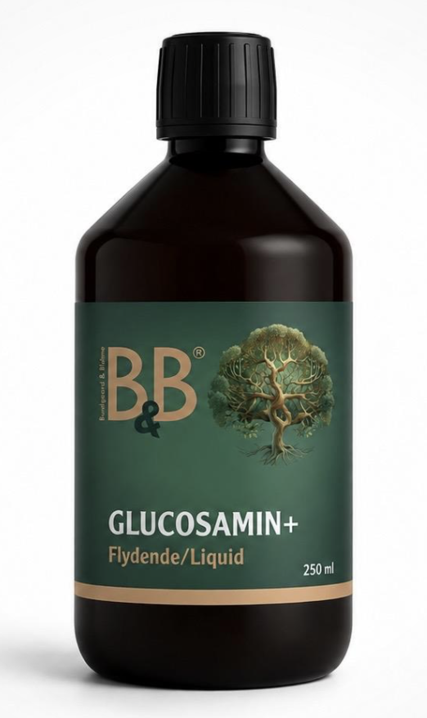 B&B - Glycosamin+